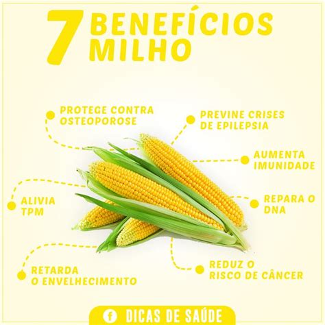 Os Benef Cios Do Milho Para Sa De Dicas De Sa De Dicas