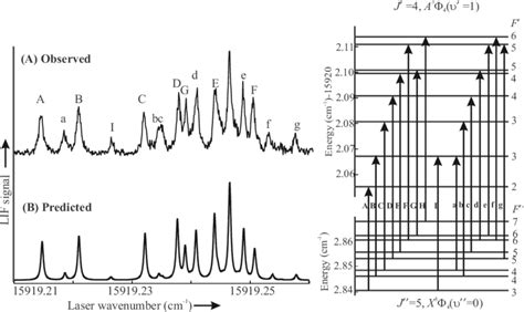 The Observed A And Predicted B High Resolution Lif Spectra For The P