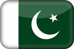 Pakistan flag vector - Country flags