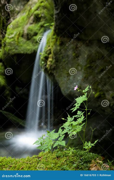 Small waterfall stock image. Image of running, fall, freshness - 16616703