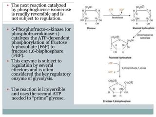 Carbohydrate Metabolism (Glycolysis).pptx