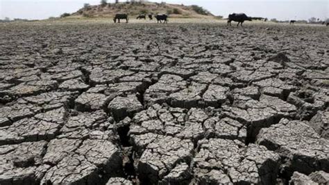 Only 3 Per Cent Water Left In Drought Hit Marathwada Dams India Today