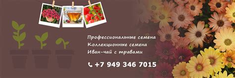 Pro семена в Донецке ДНР | Продажа профессиональных семян цветов и ...