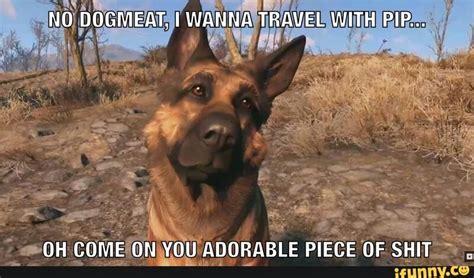 Dogmeat memes! | Fallout Amino