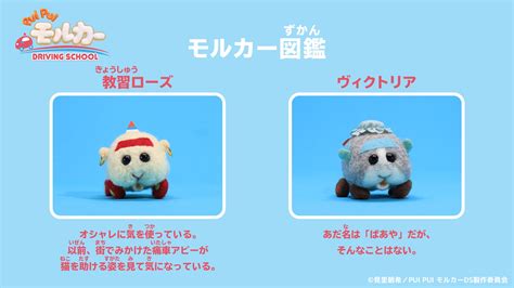 Pui Pui モルカー【公式】 On Twitter Pui Pui モルカー Driving School 第1話ご視聴、ありがとう