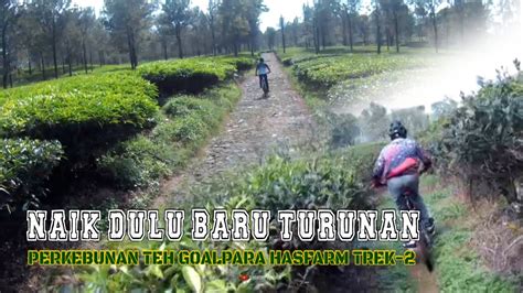 Trek 2 Gowes Hasfarm Perkebunan Teh Goalpara Sukabumi Youtube