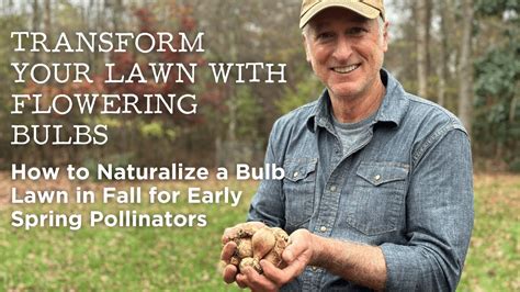 Transform Your Lawn With Flowering Bulbs Naturalize A Bulb Lawn In