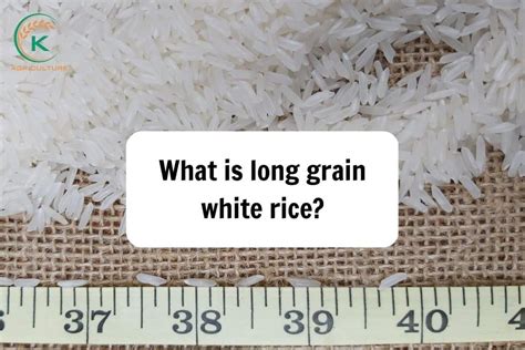 Try Our 6 Easy Step To Cook Instant Pot Long Grain White Rice | K ...