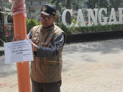 Dampak Kebakaran Hutan Gunung Arjuno Antara Foto