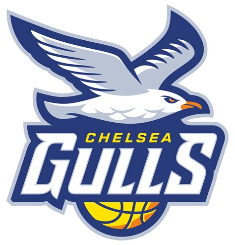 Junior Gulls — Chelsea And District Basketball Association