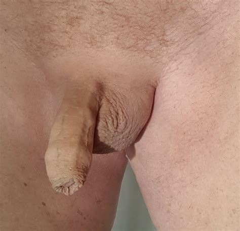 Cock Collection Xxx Porn