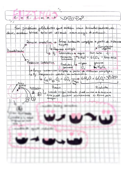 Solution Enzimas Explicaci N Y Definici N De Enzimas