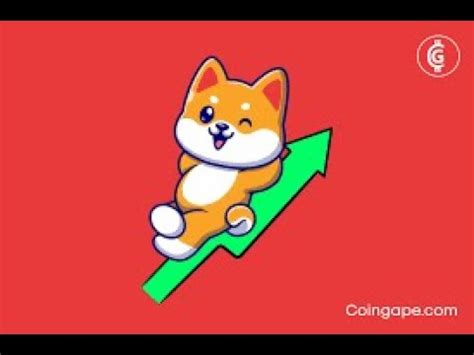 Shiba Inu Shib An Lise De Hoje Shib Shibainu Xrp