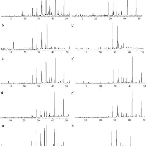 Gcms Total Ion Chromatograms Of Essential Oil In Safflower From Download Scientific Diagram