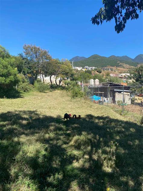 Venta Lote De Terreno En San Felipe Del Agua Oaxaca De Ju Rez Dony