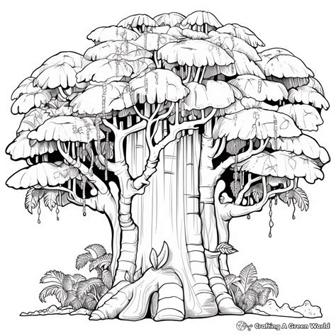 Tree Rainforest Kapok Trees Coloring Drawing Color Pages Worksheet