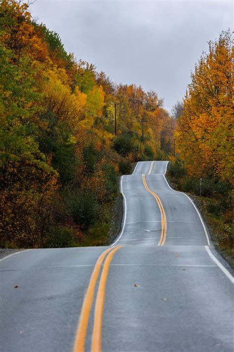 Fall Foliage: Everything to Know About Visiting Alaska in Fall