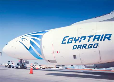 EgyptAir Takes First 737NG Freighter Cargo Facts