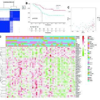 Differential Clinicopathological Features And Overall Survival Of