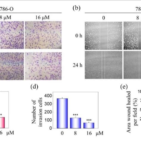 Cell Arrest And Apoptosis On 786 O Cells Induced By Complex 4a A