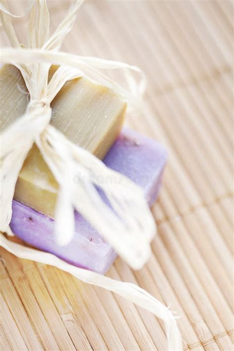 Soap Bars with Natural Ingredients Stock Image - Image of ingredient, plant: 24858595