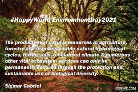 World Environment Day Ecosystem Restoration Quote Wallpapers