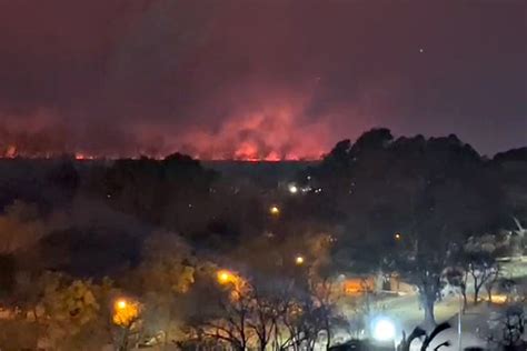 Incendios En El Delta El Gobierno Ordenó La Intervención De Las