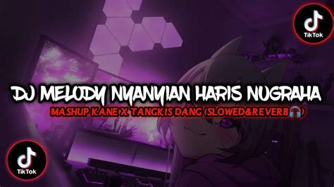 Dj Mengkane Melody Nyanyian Haris Nugraha X Mashup Kane Slowed