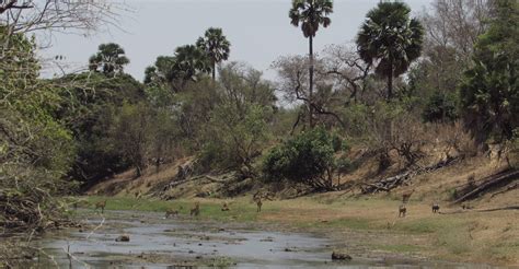 The Three National Parks of Togo - Go Volunteer Africa