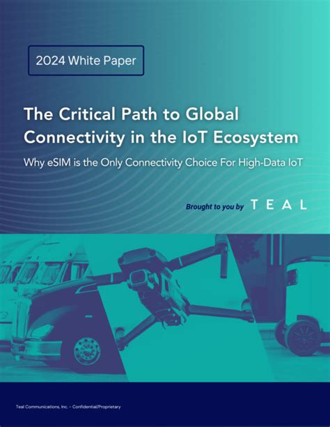 The Critical Path To Global Connectivity In The Iot Ecosystem White