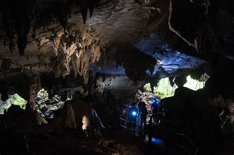 Going Deep Borneo: Cave Trekking in Mulu National Park - Departful