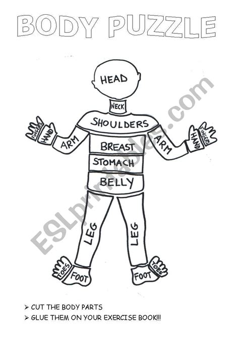 The Crazy Body Puzzle Esl Worksheet By Laretta