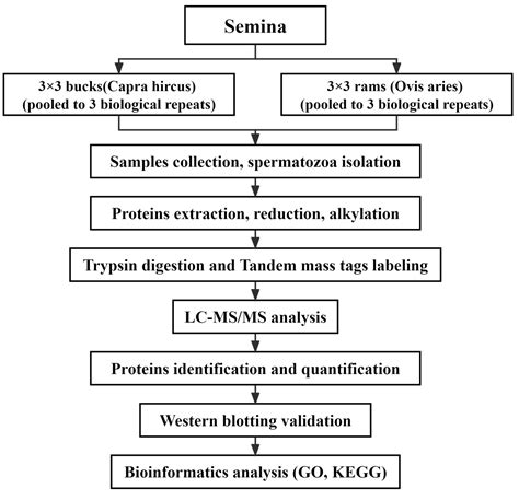 Tmt Based Comparative Proteomic Analysis Of The Spermatozoa Of Buck