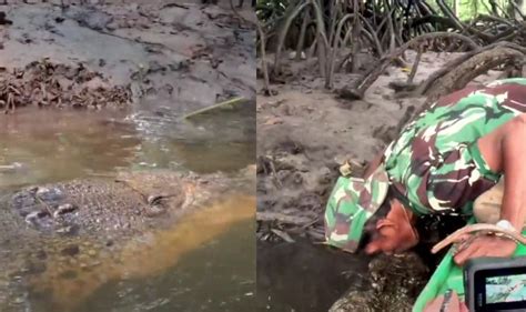 Manusia Sahabatan Sama Buaya Di Bontang Diberi Nama Hingga Bisa Hidup