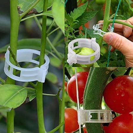 Guoyihua Garten Gitter Pflanze Anschluss Kreuz Clip F R Tomaten K Fig