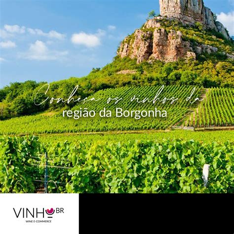 Conhe A Os Vinhos Da Regi O Da Borgonha Blog Vinhobr