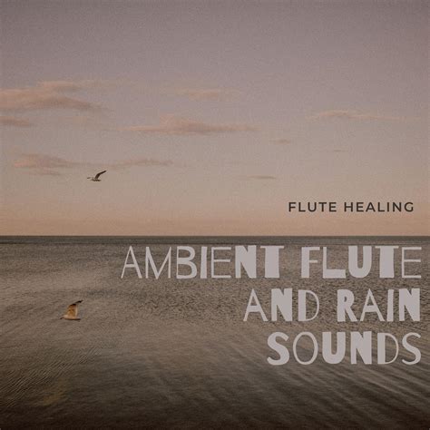 Ambient Flute and Rain Sounds Flute Healing 专辑 网易云音乐