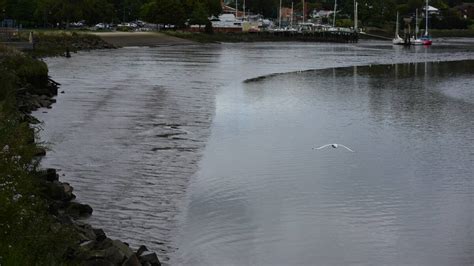 Tamar River Silt Raking Ship In Operation During High Flows The