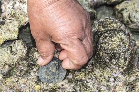 Kosrae Diving Into Paradise Real Food Traveler