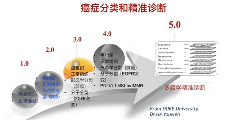 从1 0 到5 0 癌症分类和精准诊断的发展 行业 转化医学网 转化医学核心门户