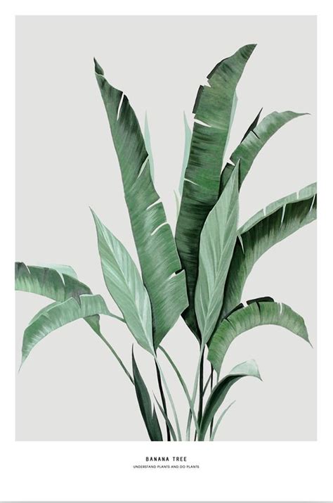 Tropical Greenery Art Set Printable Download Watercolor Plants Prints Botanical Painting Bedroom