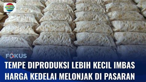 Ukuran Tempe Dan Tahu Menciut Demi Perajin Tak Merugi Gegara Naiknya