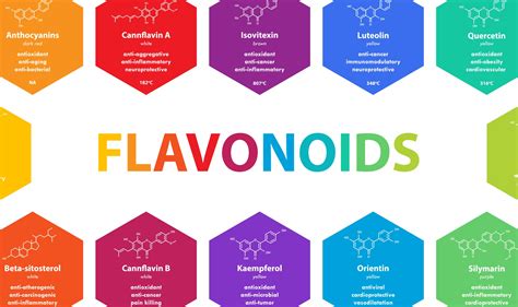 What Are Flavonoids In Hemp Cbdfx Uk