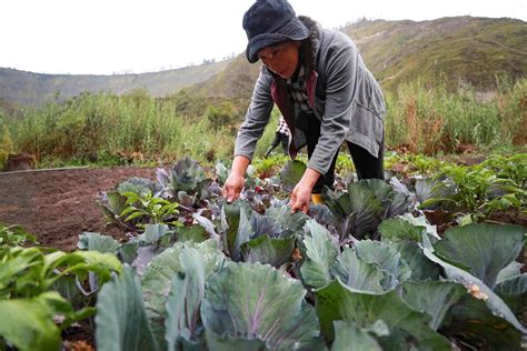 Sector Agro Jalonó La Economía Colombiana En Los Primeros Meses De 2024 Infobae