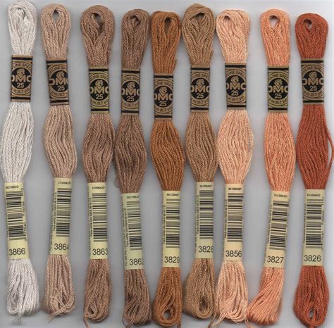 Dmc Six Stranded Embroidery Floss 3800 Series Dmc 3801 Melon