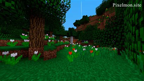 Flower Forest biome – Pixelmon Reforged Wiki