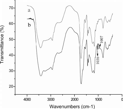 Ftir Spectra Of Pure Paa A And Paapss B Download Scientific Diagram