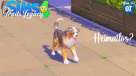 Kein Zuhause 07 DI FR Gen 02 Sims 4 Traits Legacy Challenge