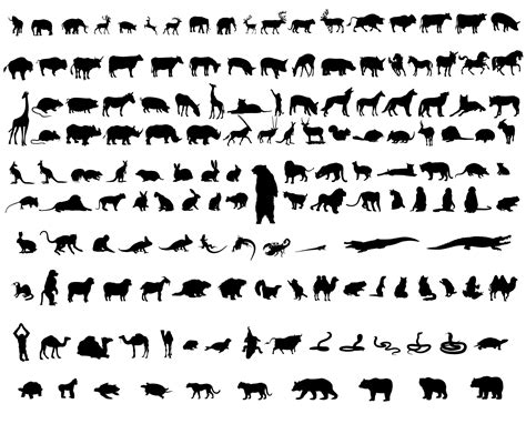 Animal Silhouette Svg Bundleanimal Cut File Cat Svg Bear Vectorsvg