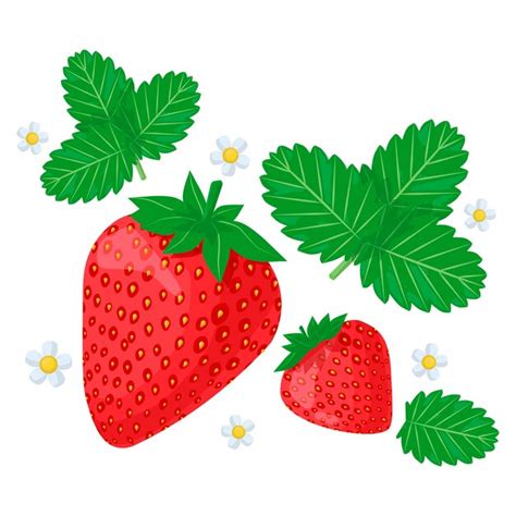 Premium Vector Fresh Strawberry With Green Leaf And White Flower In